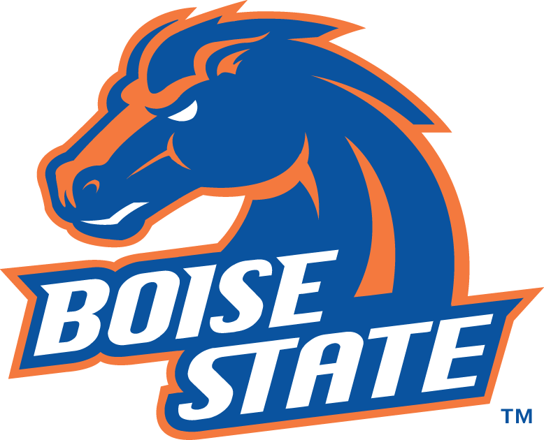 Boise State Broncos 2002-2012 Alternate Logo t shirts DIY iron ons v3